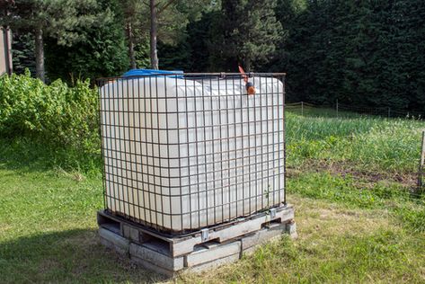 Learn Some Fun Facts About the 330-Gallon IBC Tote Reusable Containers, Water Storage Containers, Totes Ideas, 55 Gallon Drum, Storage Totes, 55 Gallon, Dangerous Goods, Water Collection, Container Design