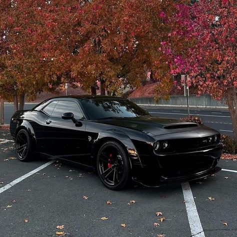 American Classic Cars | Dodge Challenger SRT Hellcat 💣 | Facebook Cars Dodge Challenger, Tmax Yamaha, Dodge Challenger Hellcat, Challenger Srt Hellcat, Dream Car Garage, Dodge Challenger Srt Hellcat, Challenger Srt, Dodge Challenger Srt, Srt Hellcat