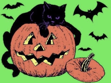 october-apparitions: Halloween Bites, Halloween Pets, Halloween Friday The 13th, Pumpkin Squares, Days Until Halloween, Halloween Gif, Cat Pumpkin, Halloween Aesthetic, Season Of The Witch