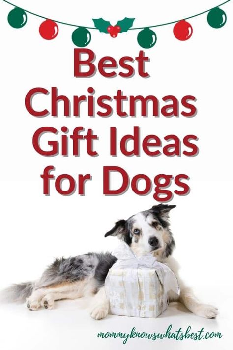 What will your dogs be opening on Christmas Day? Here's a list of ten gift ideas dogs are sure to love! | gift ideas for dogs and dog lovers Christmas Gifts For Dogs, Ideas For Dogs, Welsh Corgi Puppies, Christmas Gifts For Pets, Gifts For Dogs, Dog Christmas Gifts, Christmas Gift Ideas, Dog Owner, Christmas Gifts For Women