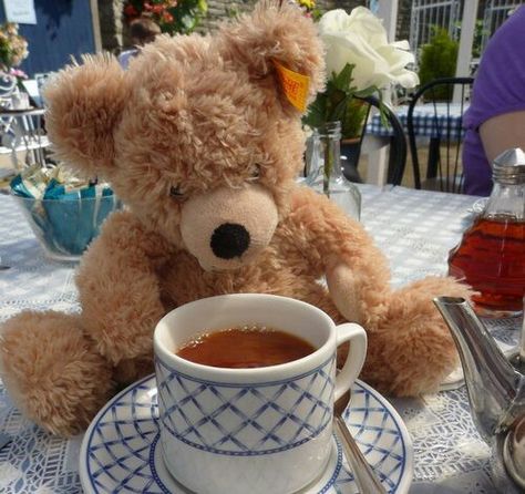 F Teddy Tea Party, Tea Hats, Teddy Bear Pictures, Bear Hugs, Party Projects, Teddy Bear Collection, Love Bear, Bear Hug, My Cup Of Tea