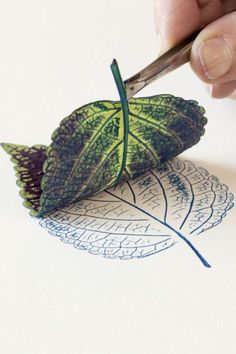 Printing with leaves, flowers, and other found objects allows you to create decorative patterns and works of art that capture the beauty of nature. You can make beautiful stationery, cards, wrapping paper, and other artwork by printing with leaves and other found objects from nature. #stationary #leaves #diy #cards Small Bathrooms, Høstaktiviteter For Barn, Leaf Print Art, Black Tile, Seni Origami, Seni Cat Air, The Beauty Of Nature, Eco Printing, Found Objects