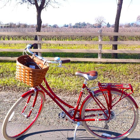 PUBLIC C7 bike in Red with a countryside background. #red #bike #basket #publicbikes Red Bicycle Aesthetic, Bikes With Baskets, Red Bike Aesthetic, Cottagecore Bike, Dream Neighborhood, Dr Items, Countryside Background, Flower Bible Verse, Bicycle With Basket