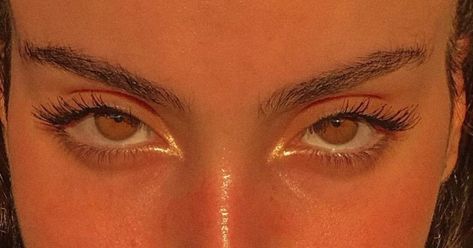 Brown Eyes Aesthetic, Butterfly Eyes, Almond Eyes, Fox Eyes, Amber Eyes, Makeup Accesories, Types Of Eyes, Aesthetic Eyes, Eye Makeup Art