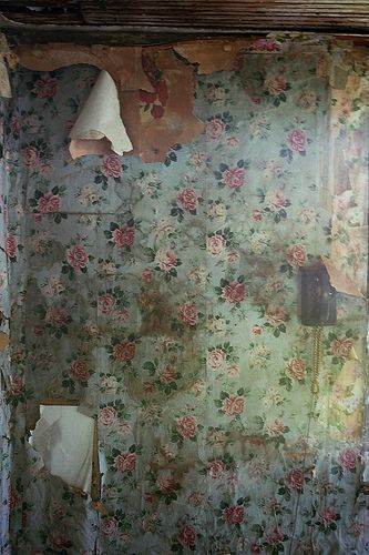 Alvin Toffler, Peeling Wallpaper, Antique Wallpaper, Ivy House, Peeling Paint, Old Wall, Old Wallpaper, Abandoned Houses, Vintage Wallpaper