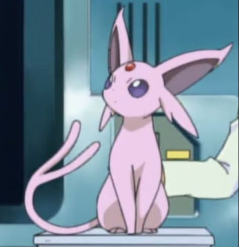 Umbreon And Espeon, Staring Contest, Pokemon Stickers, Pokemon Eeveelutions, Eevee Evolutions, Pokemon Eevee, Pokemon Collection, Pokemon Teams, Pokemon Drawings