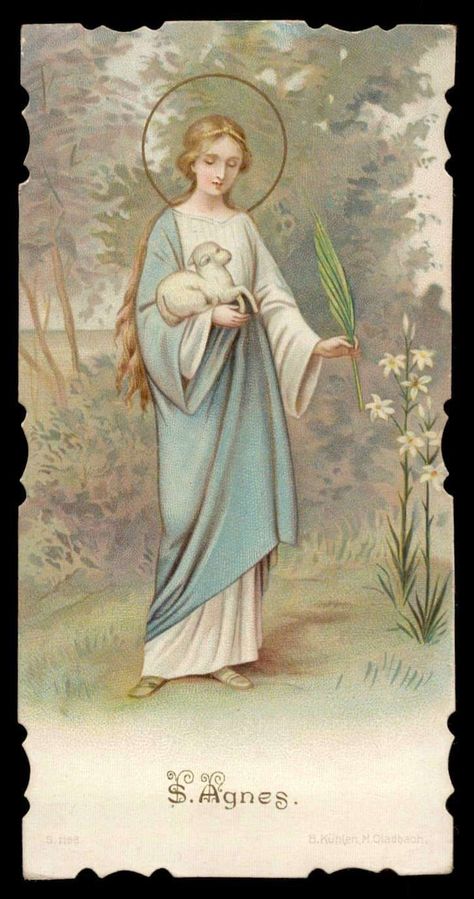 Mary Immaculate Conception, St Bernadette, Saint Philomena, Mary Immaculate, Traditional Catholicism, Vintage Holy Cards, St Agnes, Catholic Images, Lady Of Lourdes