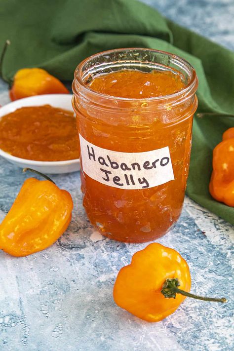 Habanero Pepper Jelly Recipe - Recipe - Chili Pepper Madness Habanero Gold Pepper Jelly, Haberno Jelly Recipes, Habanero Jelly Recipes, Habanero Jam Recipes, Habanero Recipes Pepper Jelly, Things To Make With Habanero Peppers, Habenero Honey Recipe, Small Batch Hot Pepper Jelly, Pepper Jam Recipes For Canning