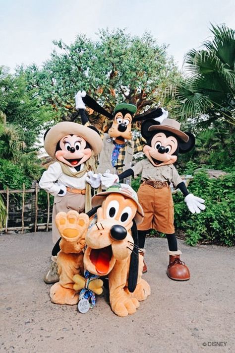 Disney Animal Kingdom, Disney Parque, Disney World Pictures, Disney World Characters, Disney World Florida, Disney Animals, Disney Day, Disney Friends, Disney Aesthetic