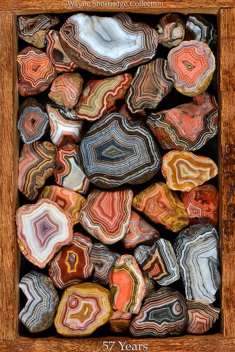 Wayne Shortridge 57 years of collecting Fairburn agates | Flickr - Photo Sharing! Wallpaper Schemes, Fairburn Agate, Rock Texture, Agate Rocks, Geology Rocks, Spiritual Crystals, Pretty Rocks, Cool Rocks, Gcse Art