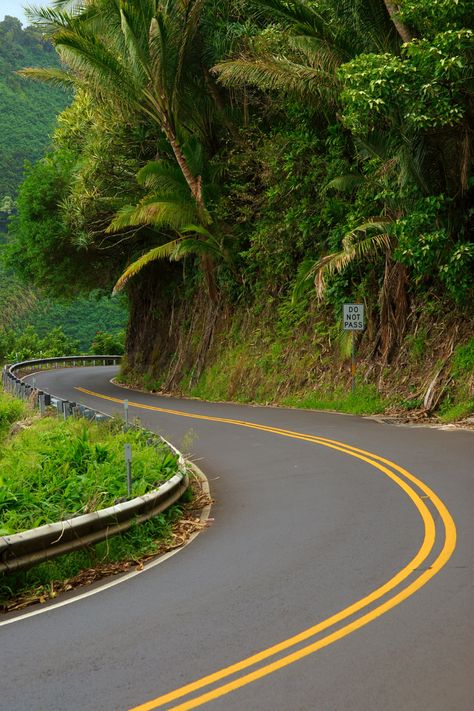 Heading to Maui? Check out my top things to do in Maui. From driving the Road to Hana to snorkeling with turtles. Maui, Hana Maui Hawaii, Road To Hana Maui, Things To Do In Maui, Hana Maui, Road To Hana, Maui Hawaii, Stardust, The Road