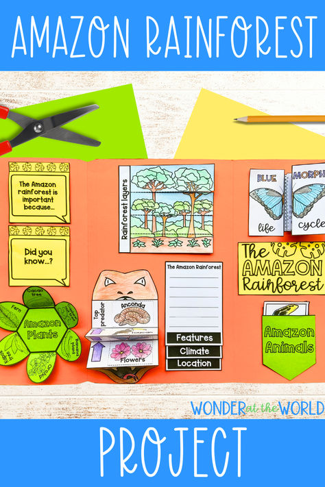 Create a lapbook project all about the amazon rainforest. This resource contains lots of templates to help children explore and present information on the following: Animals and plants Food chains Life cycle (blue morpho butterfly) Climate Features of the rainforest Structure of the rainforest Amazing facts A fun way to combine science and geography learning in the classroom, or for home school. Rainforest Ecosystem Project Ideas, Rainforest Layers Printable, Biome In A Box Project Rainforest, Amazon Rainforest Project, Temperate Rainforest Biome Project, Rainforest Project, Habitats Projects, Amazon River, Blue Morpho Butterfly