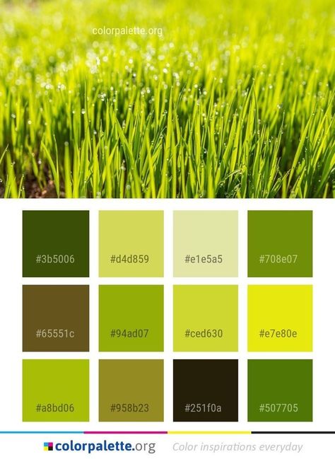 Organic Color Palette, Grass Green Color, Html Color Codes, Color Knowledge, Graphics Design Inspiration, Bedroom Colour Palette, Green Color Palette, Hex Color Palette, Color Palette Challenge