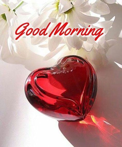 Good Morning Gift, Good Morning Romantic, Good Morning Happy Sunday, Good Morning Roses, Good Morning All, Good Morning My Love, Good Morning Images Flowers, Whatsapp Wallpaper, Morning Greetings Quotes