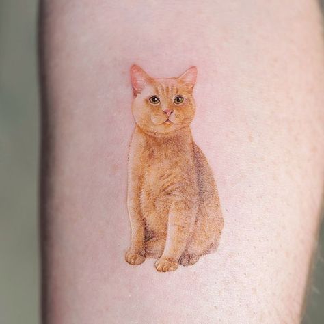 Jia on Instagram: "Cadbury💛" Ginger Cat Tattoo, Paw Tattoo, Ginger Cat, Ginger Cats, Tattoo Tattoo, Cat Tattoo, Life Tattoos, Tattoo On, Cat Life