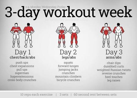 3 day workout plan 3 Day Workout, Full Body Workouts, Arms And Abs, Muscle Abdominal, Fitness Routines, Body Fitness, I Work Out, Calisthenics, Weight Training