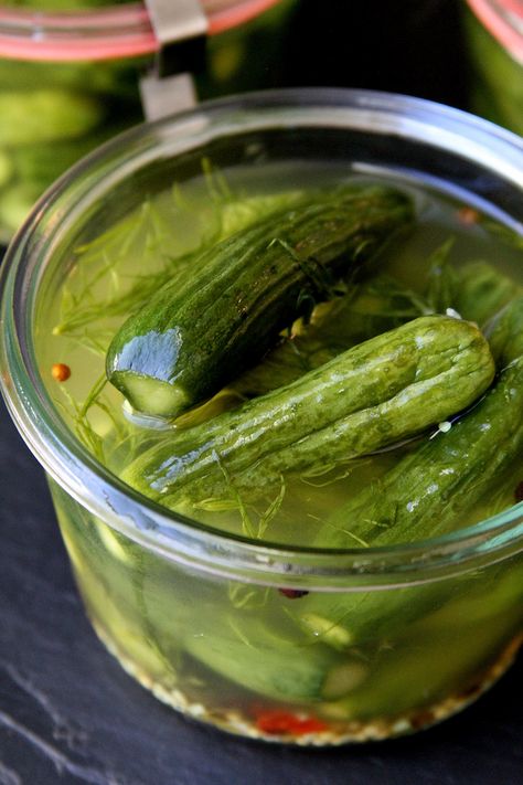 Baby Dill Refrigerator Gherkins (Cornichon) – A Cup of Sugar … A Pinch of Salt Gherkins Pickles Recipes, Refrigerator Pickles Dill, Refrigerator Pickle Recipes, Farm Recipes, Lunch Sides, Refrigerator Pickles, Vegetables Recipes, Canned Vegetables, Mustard Seeds