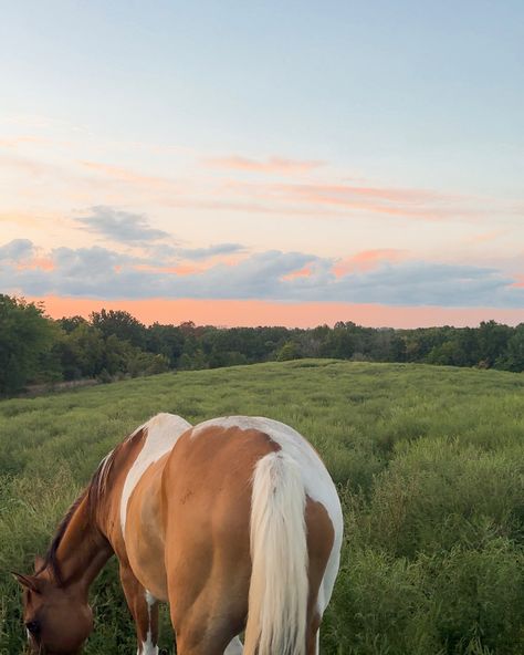 Southern Summer Aesthetic, American Summer Aesthetic, Boat Lifestyle, Shes Like Texas, Summer Cowgirl, Cowgirl Summer, Cowgirl Vibes, Aesthetic Summer Vibes, Summer Country