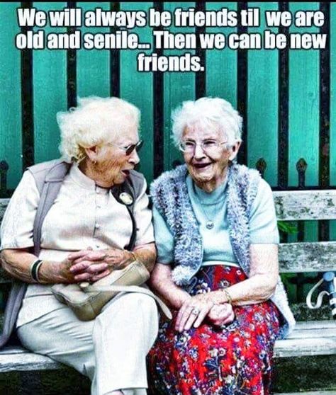 Quotes About Old Friends, Old Friend Quotes, Senior Humor, Barbie Quotes, Old Lady Humor, Friendship Humor, Friendship Quotes Funny, Friends Quotes Funny, Friends Funny