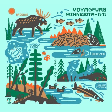 Zaine Vaun | The Voyageurs National Park in Minnesota founded in 1975. I’m stoked about this one because it has BEAVERS, and I don’t usually like to… | Instagram Voyageurs National Park, Outdoor Logos, Americana Art, She Did It, American Continent, Type Illustration, Kid Friendly Activities, All Animals, 2024 Calendar