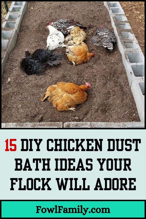 15 DIY Chicken Dust Bath Ideas Your Flock Will Adore Diy Chicken Dust Bath, Diy Dust Bath, Chicken Dust Bath Ideas, Chicken Dust Bath, Chicken Bath, Dust Bath For Chickens, Repurposed Containers, Chicken Facts, Dust Bath