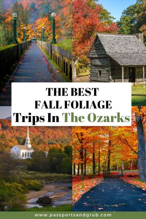 Are you ready to planning your fall road trips yet? I suggest taking a road trip to the Ozarks to see the Arkansas fall foliage.Arkansas may be known for its hot springs, beautiful lakes, and rivers but make no mistake the fall foliage in Arkansas can compete with the foliage in Tennessee, Oregon, Washington, and Colorado.The state of Arkansas turns into gorgeous shades of reds, oranges, and yellows every fall.  I suggest starting your road trip to see the Arkansas fall colors in the norther Arkansas Fall Foliage, The Old Mill Arkansas, Missouri Fall Foliage Road Trip, Ozark Mountains Road Trip, Fall In Arkansas, Best Places To See Fall Foliage, Arkansas In The Fall, Branson In The Fall, Arkansas Fall Foliage Road Trip