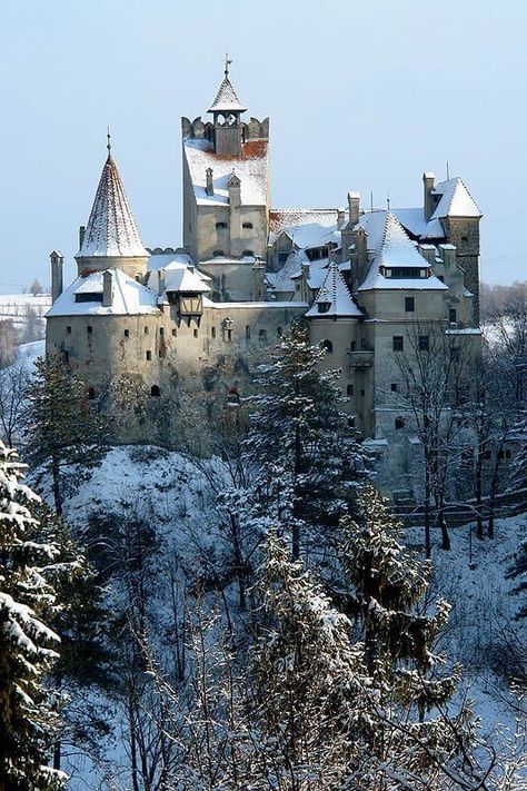 Draculas Castle Romania, Bran Castle Romania, Castles Around The World, Castle Romania, Dracula's Castle, Bran Castle, Castle Building, Dracula Castle, Romania Travel