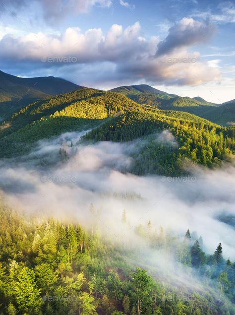 View From Top Of Mountain, Forest Aerial View, View From Mountain Top, Forest Top View, Forest Mountain Landscape, Forest Valley, Forest Images, Peaceful Landscapes, Jungle Images