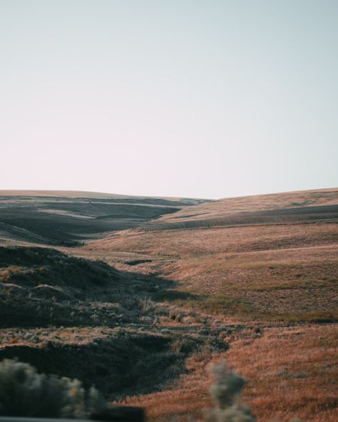 Washington State, Pnw Vibes, Yakima Washington, Eastern Washington, Tri Cities, Media Management, Tasting Room, Desert Landscaping, Pretty Places