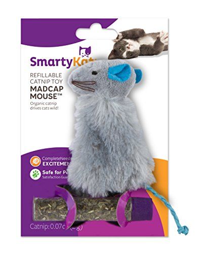 SmartyKat Madcap Mouse Cat Toy Refillable Catnip Toy * Click image for more details.Note:It is affiliate link to Amazon. Health Schedule, Purring Cat, Homemade Cat Toys, Catnip Cat, Catnip Cat Toy, Cat Training Pads, Cat Odor, Cat Dander, Cat Shedding