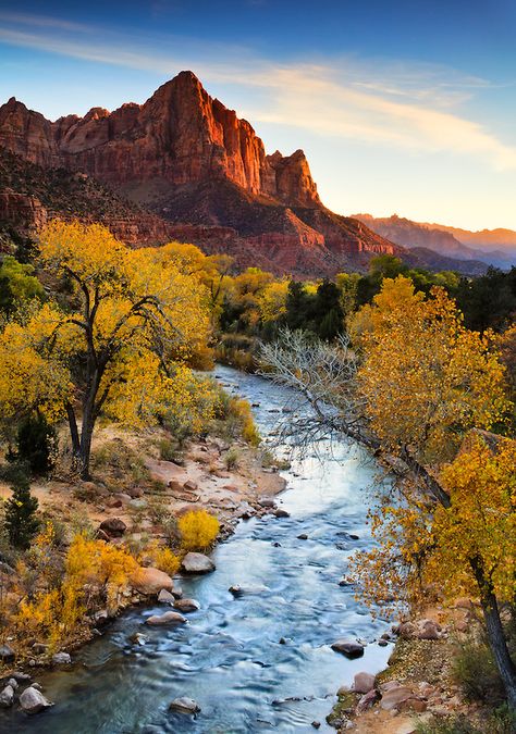 Zion National Park, Utah, United States Green River Utah, Zion National Park Photography, Utah Fall, Carlsbad Caverns National Park, Virgin River, Zion National Park Utah, Capitol Reef National Park, Utah Travel, Park Photography