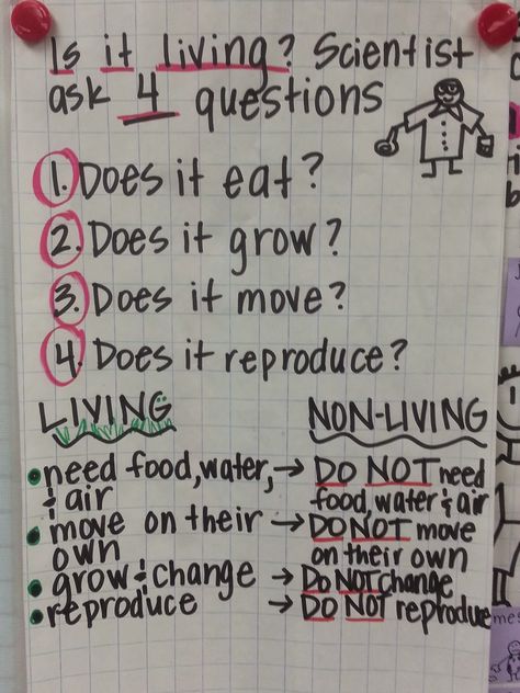 Living Nonliving Anchor Chart, Living Non Living Activities Preschool, Living Vs Nonliving Preschool Activities, Living Vs Non Living Activities Preschool, Living And Nonliving Anchor Chart, Living Nonliving Activities, Living Vs Non Living Anchor Chart, Living Vs Non Living Kindergarten, Living And Non Living Things Anchor Chart