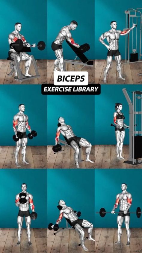 FITNESS KEY9 | ✅ Workout for Chest💪💪💯 #workout #gym #gymlifestyle #gymmotivation #workhard | Instagram Biceps And Forearm Workout, Biceps Workout At Gym, Tricep Gym Workout, Chest Workout Gym, Workout For Chest, Exercise Aesthetic, Big Biceps Workout, Bicep And Tricep Workout, Chest Workout Routine