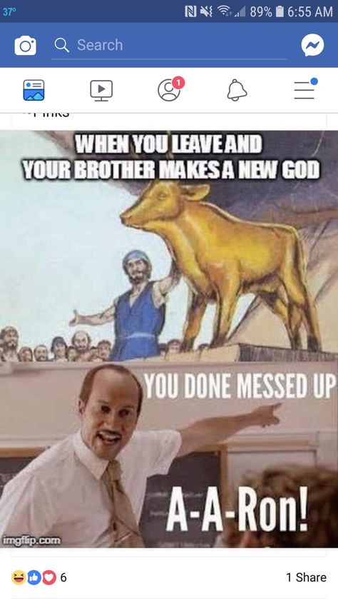 Joshua Funny, Baptist Humor, Church Jokes, Jesus Jokes, Bible Jokes, Funny Christian Jokes, Lds Memes, Catholic Humor, Church Memes