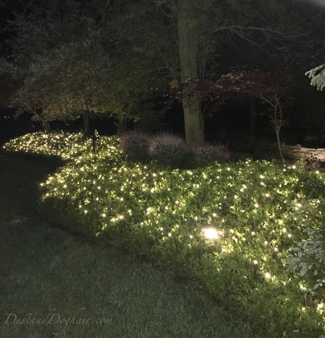 Gardens At Night, Front Yard Lighting, Butchart Gardens, Outdoor Garden Lighting, Backyard Lighting, Moon Garden, Night Garden, Beautiful Flowers Garden, Modern Landscaping