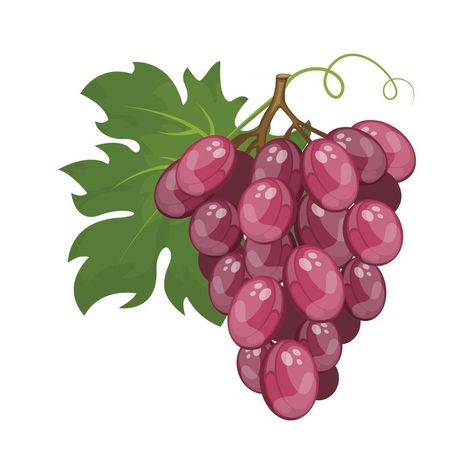 Red Grapes, Vector Art, Grapes, Vector Free, Royalty Free, For Free, Clip Art, Red, Art