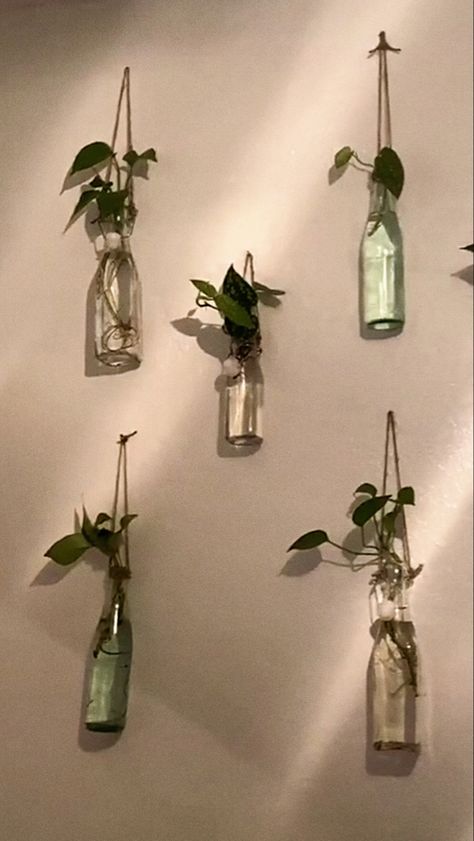 Hanging Plants In Bottles, Glass Bottle Plants Ideas, Bedroom Diy Decor, Simple Living Room Decor, Plants In Bottles, Easy Room Decor, Small Room Design Bedroom, Easy Diy Room Decor, Plant Medicine