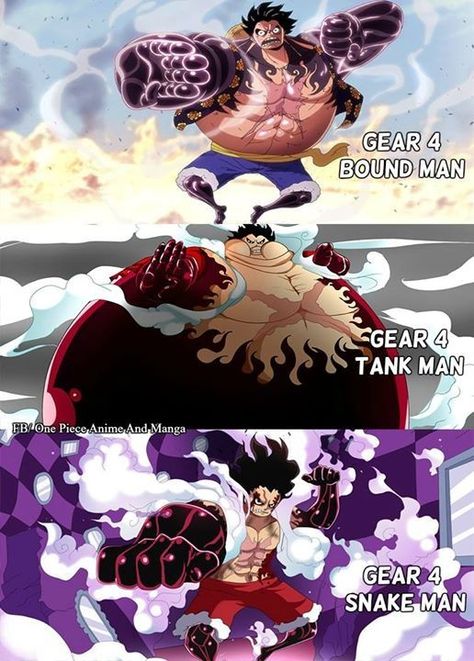 Hey y'all One piece fans out there! Today I'm going to write about all of Luffy's transformations.Note that this post only includes the forms that Luffy has taken in the anime by the time I'm writing this post, but I'll try my best to update this post whenever they... Gear 4 Tank Man, Luffy Gear Fourth, Luffy Gear 4, One Piece Merchandise, Gear 4, One Piece Drawing, Manga Anime One Piece, One Piece Luffy, Monkey D Luffy