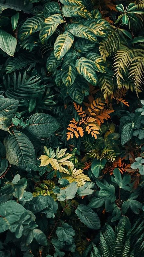 Real Plant Wallpaper, Plant Wallpapers For Iphone, Plant Asthetic Wallpers, Plant Phone Background, Plant Background Wallpapers, Mystical Wallpaper Iphone, Plant Art Wallpaper, Leaves Wallpaper Aesthetic, Botanical Wallpaper Iphone