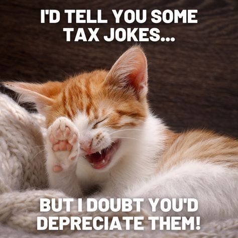 Bookkeeping Humor Funny, Funny Tax Season Quotes, Tax Season Humor Memes, Income Tax Humor, Tax Season Humor, Tax Humor, Tax Quote, Tax Memes, Accounting Jokes