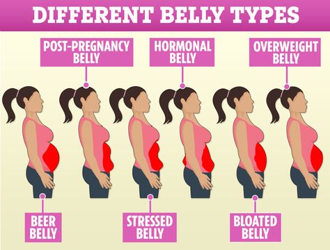 Weight loss: Booze belly to hormonal tum – how to blast your belly fat and fast – The Sun Hormonal Belly, Membakar Lemak Perut, Blast Belly Fat, Bloated Belly, Abdominal Fat, Post Pregnancy, Insulin Resistance, Diet Meal, Fat Burning Drinks