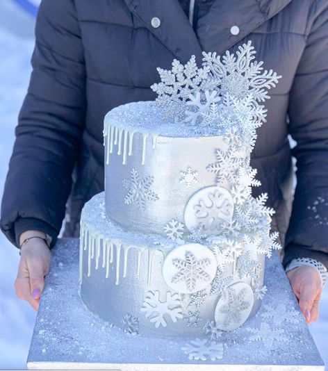 2 Tier Winter Wonderland Cake, Winter Wonderland Quinceanera Theme Cake, Winter Wonderland Sugar Cookies, Winter Wonderland Sweet 16 Cake, Winter Quinceanera Ideas, Winter Cakes Birthday, Winter Wonderland Cakes, Winter Birthday Cake Ideas, Winter Wonderland Cake Ideas