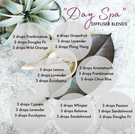 Chill Out Diffuser Blend, Essential Oil Blends Relaxation, Doterra Relaxing Diffuser Blends, Spa Blend Essential Oils Diffuser, Clean Smelling Essential Oil Blends, Relaxing Diffuser Blend Doterra, Doterra Spa Diffuser Blends, Peaceful Essential Oil Blend Diffuser, Spa Blend Essential Oils