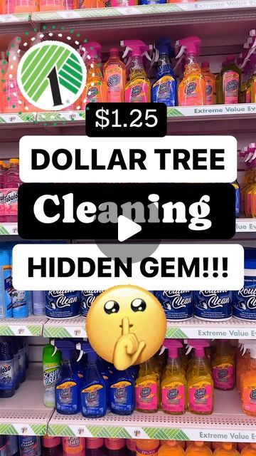 Sarah | Dollar Tree Finds & Life on a Budget on Instagram: "OMG! Dollar Tree has a new cleaning tool that keeps you off your knees🤫😵🤯 I promise you, once you see how well these $1.25 bathroom mop work, you’ll regret walking past them. They also can be used around the house and in your car!!   Tag a friend that could use this $1.25 cleaning find!! 💕 @dollartree   #dollartree #dollartreefinds #dollartreeorganization #dollartreecommunity #organizedonabudget #dollarstore #shopwithme #dillartreecleaning #cleaninghacks #cleaningtools #cleantok #shoppingaddict #dollartreefinds #whatsnewatdollartree #comeshopwithme #dollartreeshopwithme #housewifelife #frugalmom #frugalfinds #dollartreereels" Dollar Tree Car Cleaning Supplies, Dollar Tree Bathroom Cleaning Hacks, Dollar Tree Cleaning Supplies List, Mexican Cleaning Aesthetic, Dollar Tree Cleaning Products, Best Dollar Tree Cleaning Supplies, Dollar Tree Bathroom Hacks, House Cleaning Essentials, Tips For Cleaning House