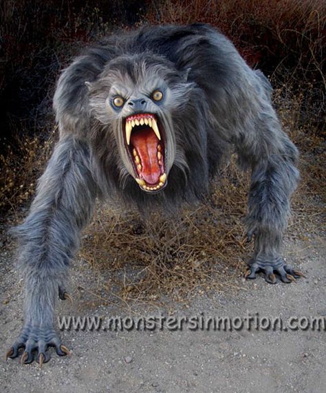 american werewolf in london | An American Werewolf in London Lifesize Prop Dog Soldiers, Werewolf Costume, Gif Terror, American Werewolf In London, Werewolf Art, Vampires And Werewolves, Classic Horror Movies, Best Horrors, Classic Monsters