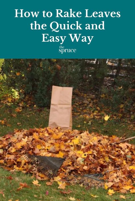 Raking leaves seems so easy, but there are simple ways to make it less tiring and more effective, by paying attention to timing, equipment, and methods. #gardeningadvice #howto #plantparenttips #thespruce How To Keep Leaves From Drying Out, Raking Leaves Aesthetic, Fall Yard Clean Up Checklist, Raking Leaves Hack, How To Reseed Your Lawn In Fall, Yard Cleaning, Raking Leaves, Small Balcony Garden, Yard Waste