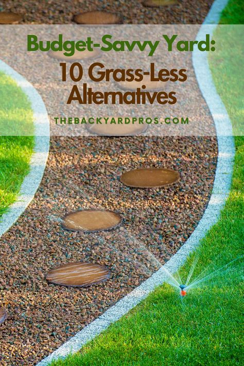 Lush lawns on a budget? Absolutely! Discover 10 affordable alternatives to grass that will keep your yard looking vibrant and inviting without draining your savings! Backyards Without Grass Landscaping, Water Free Landscaping Front Yards, Front Yard Landscaping Diy On A Budget, Low Maintenance Acreage Landscaping, Backyard Ideas With No Grass Design, Front Yard Without Grass Ideas, Yard Ideas For Renters, Backyard Without Grass Ideas Landscaping, Low Maintenance Backyard Landscaping On A Budget