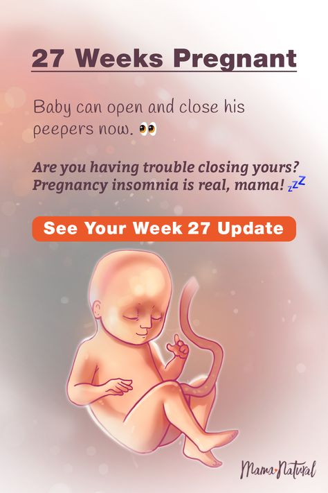 See what's up with baby, mama, and more when you're 27 weeks pregnant. The ultimate week by week natural pregnancy guide! Learn everything from pregnancy symptoms, development, learn to track your baby's growth and natural remedies for a healthy pregnancy. Click to find a complete timeline from the first trimester, second trimester, third trimester with tips for mom and baby to prepare them for a natural birth.   #naturalpregnancy #pregnancytips #naturalbirth 30 Weeks Pregnant Baby, Pregnancy Symptoms By Week, Pregnancy Development, 3rd Trimester Pregnancy, Pregnancy Insomnia, 27 Weeks Pregnant, 40 Weeks Pregnant, Baby Development Activities, Third Trimester Pregnancy