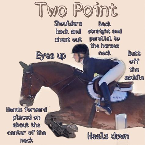 Horse Jumping Tips, Horse Riding Tips For Beginners, Horse Riding Tips English, Equestrian Tips, Horse Jumping Exercises, Equestrian Memes, Horses Funny, Jumping Exercises, Trail Riding Horses