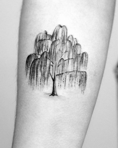 Crepe Myrtle Tree Tattoo, Weeping Willow Tattoos For Women, A Tree Falls The Way It Leans Quote Tattoo, Willow Tree Tattoo On Shoulder, Hanging Tree Tattoo, Tree On Spine Tattoo, Nature Tattoos With Meaning, Minimalist Willow Tree Tattoo, Angel Oak Tree Tattoo